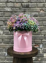 Цветочная композиция из Гипсофила и Розы в шляпной коробке в Джалиле
