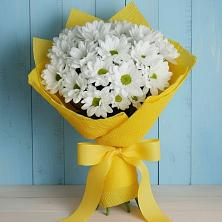 Букет цветов из:  Хризантемы в Джалиле