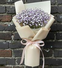 Букет цветов из:  Гипсофила в Джалиле