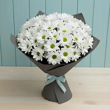 Букет цветов из:  Хризантемы в Джалиле
