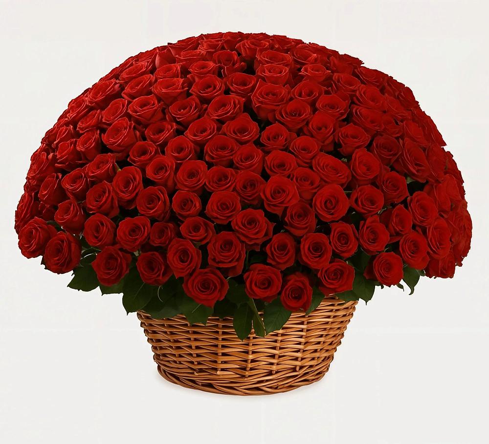 Премиум букет из: Розы в Джалиле