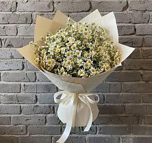 Букет цветов из:  Ромашки в Джалиле