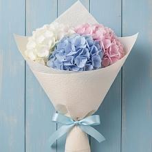 Букет цветов из:  Гортензия в Джалиле