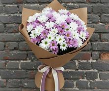 Букет цветов из:  Хризантемы в Джалиле