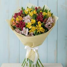 Букет цветов из:  Альстромерии в Джалиле
