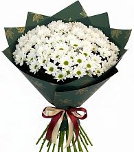 Букет цветов из:  Хризантемы в Джалиле