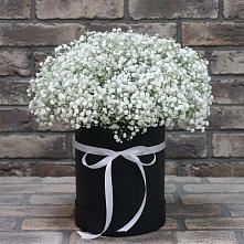 Цветочная композиция из Гипсофила в шляпной коробке #REPLACE_PRED# Джалиле