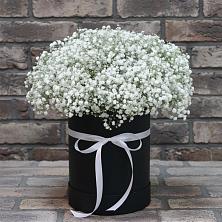 Цветочная композиция из Гипсофила в шляпной коробке в Джалиле